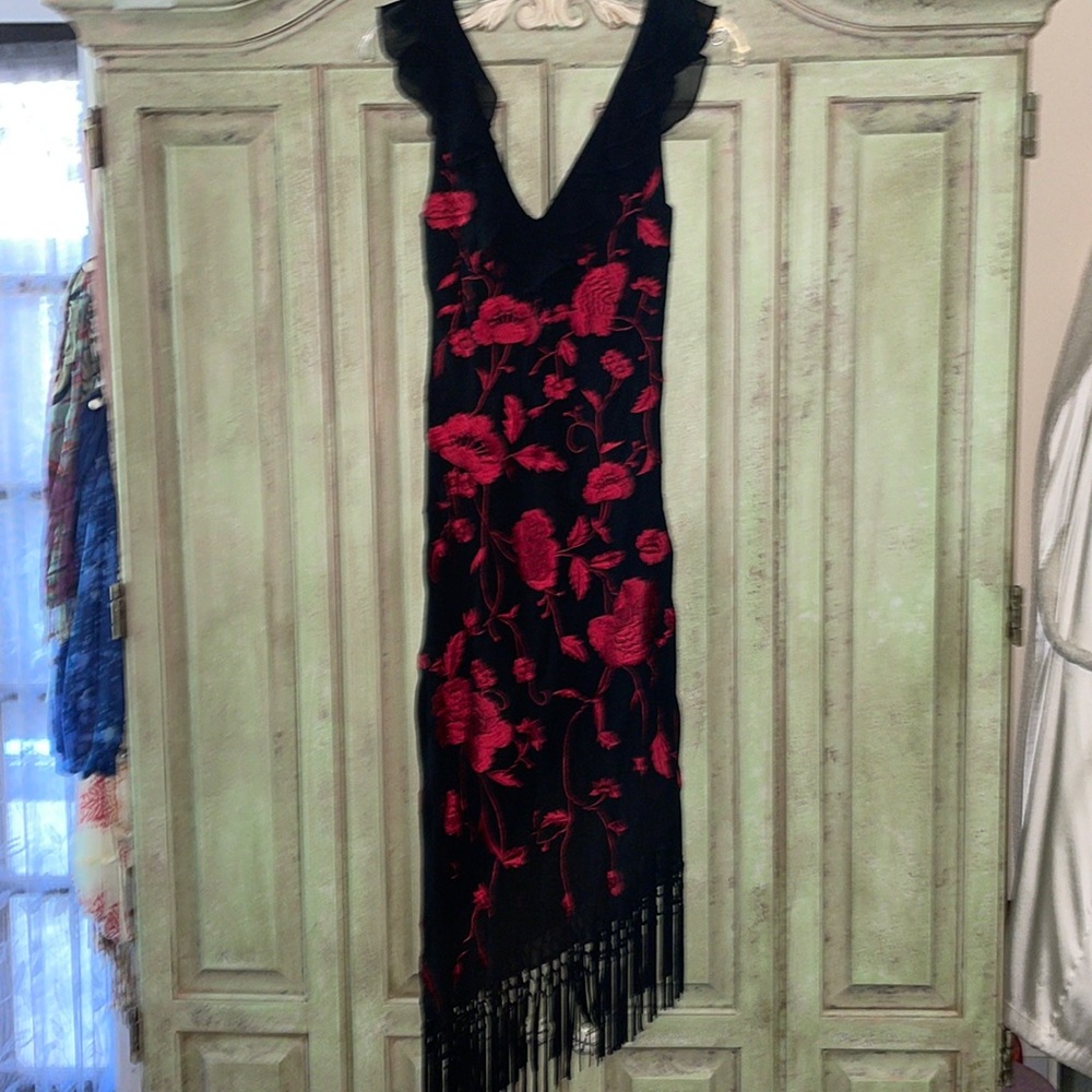 Gorgeous fitted black dress with embroidery red roses.